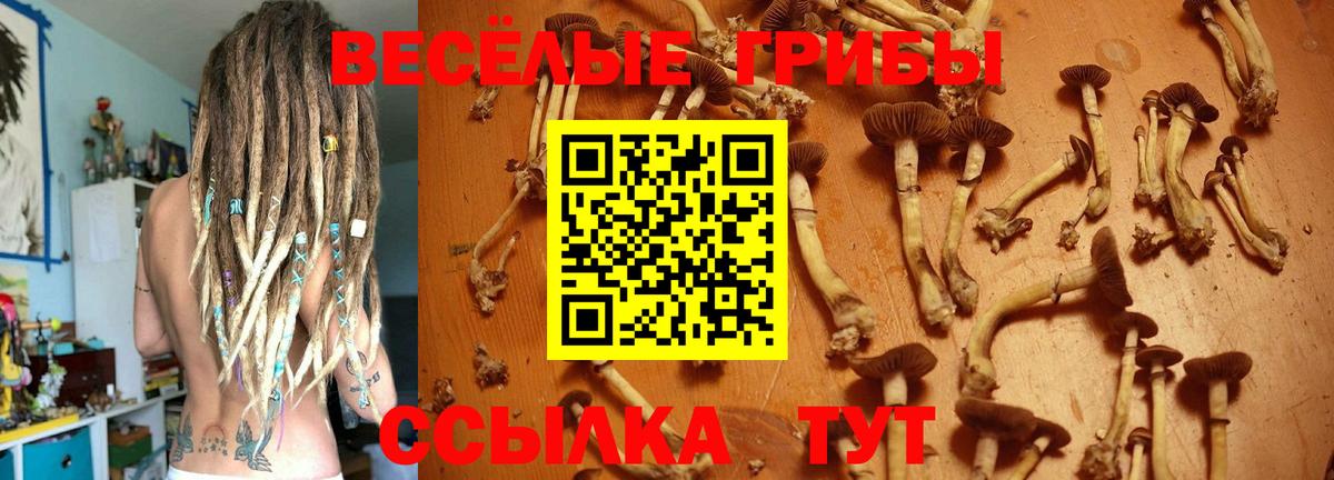 Вологда  Галлюциногенные грибы мицелий  Вход с VPN 