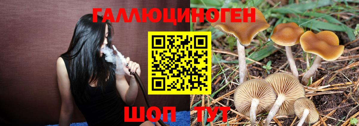 Псилоцибиновые грибы Magic Shrooms Вологда
