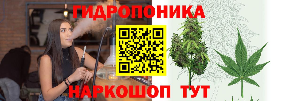 Шишки марихуана VHQ  Шишки марихуана SATIVA & INDICA  Вход с VPN  Вологда 
